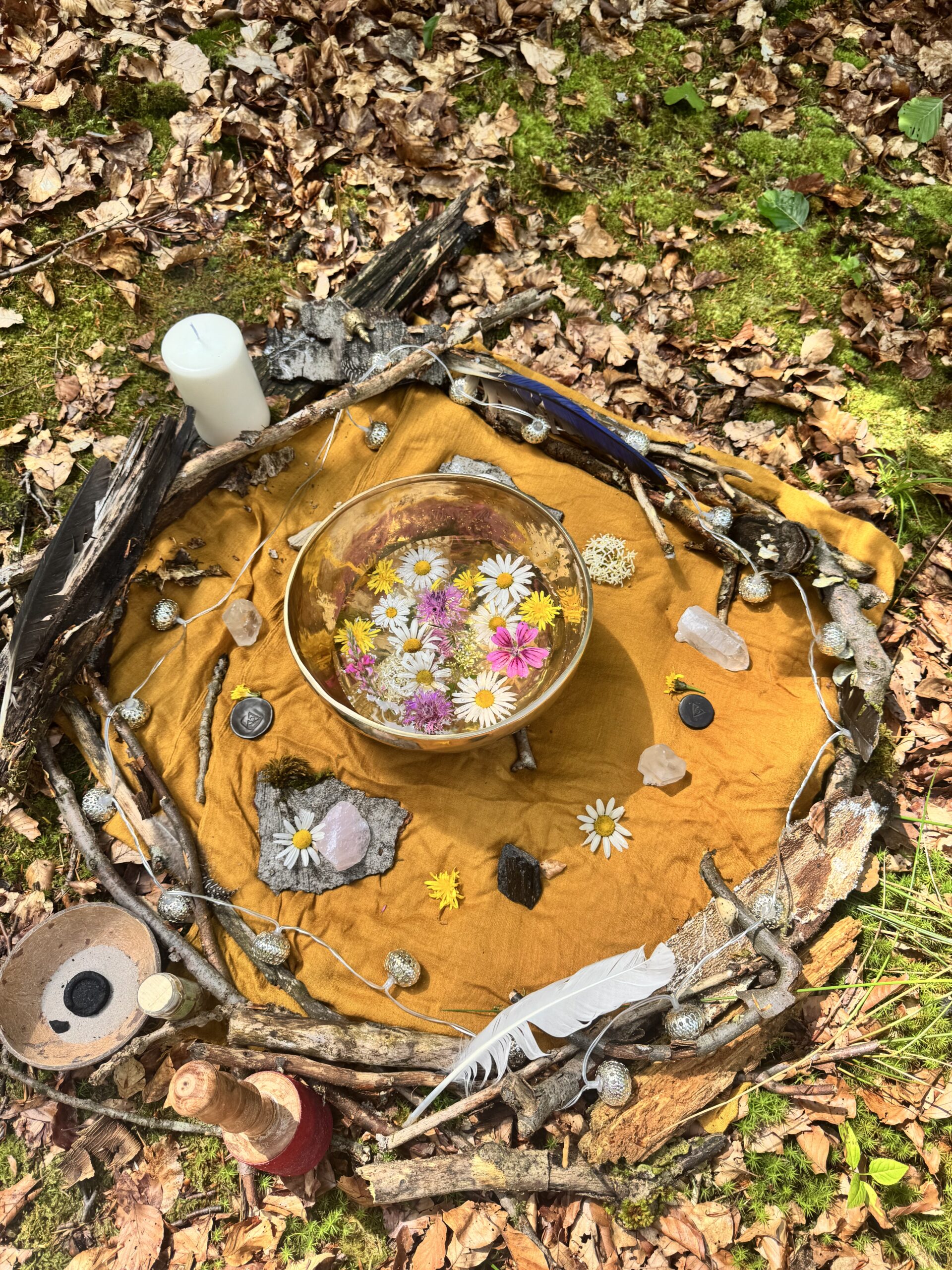 Nature Women Circle